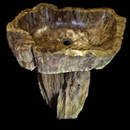 Petrified Wood Wash Basin