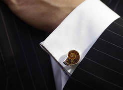 Ammonite Cufflinks