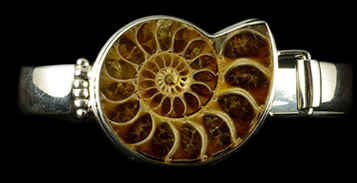 Fossil and Gemstone Jewellery