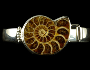 Fossil Jewellery