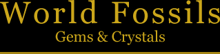 World Fossils